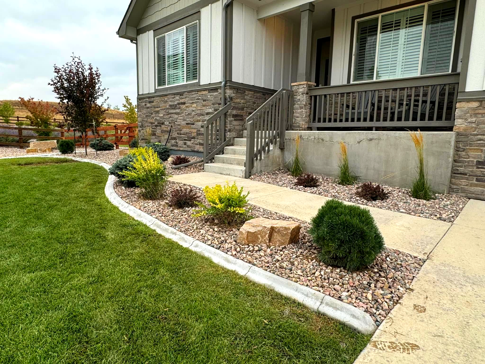 Front yard with curved concrete edging and new plantings